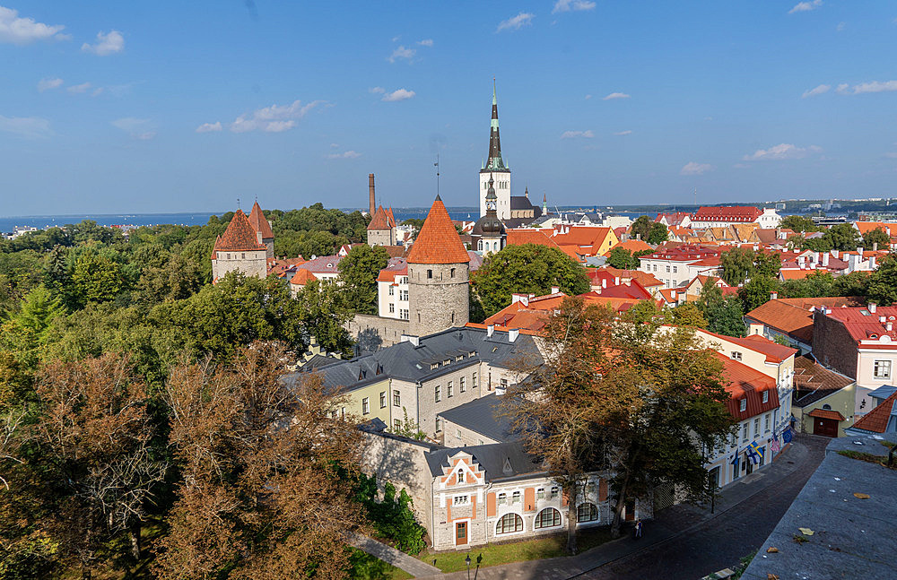 Views of old historical and traditional buildings, Old Town, UNESCO World Heritage Site, in central Tallinn, Estonia, Europe