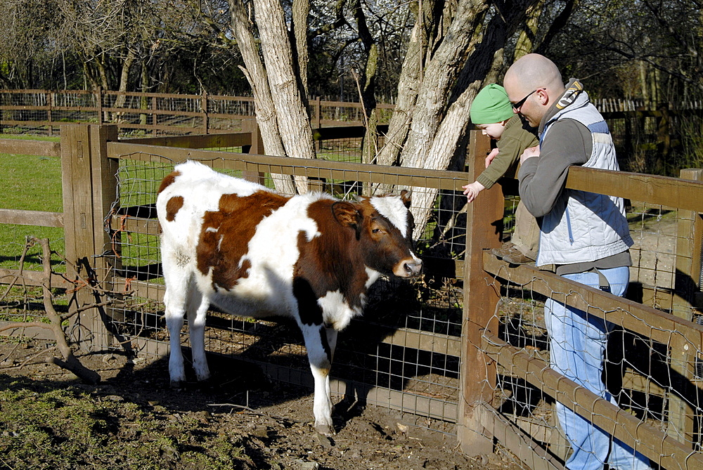 Uk. visiting the hackney city farm in east london