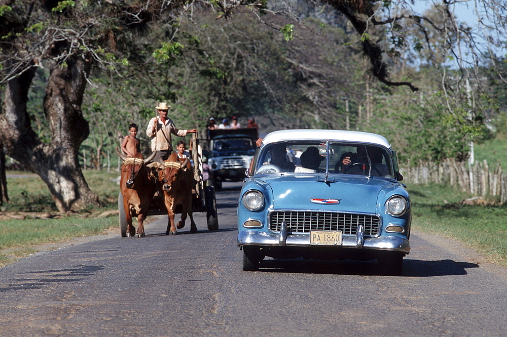 Cuba. Family in a cart overtaken by classic car in vinales. Pinar del rio province