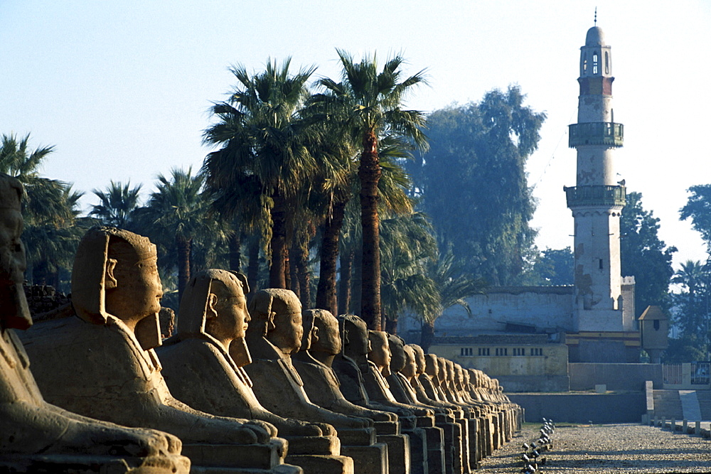 Ancient temples, egypt. Luxor