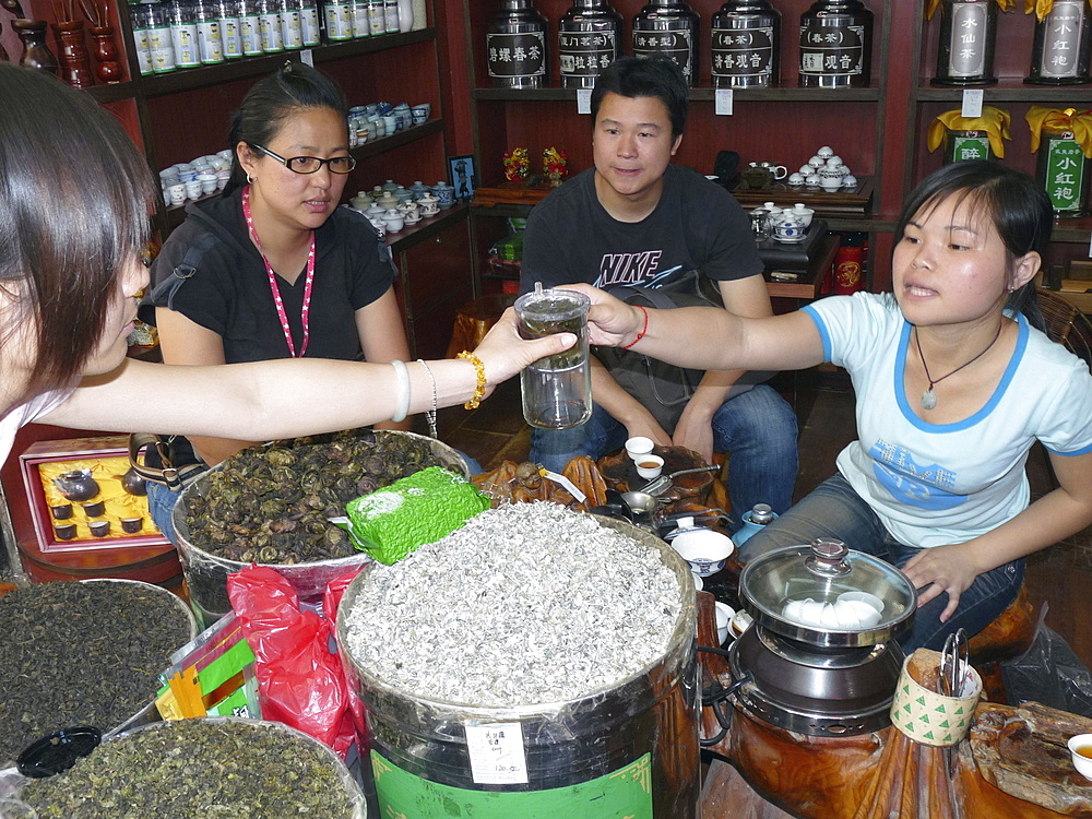 China chinese tourists trying tea in gulangyu island near xiamen in fujian province