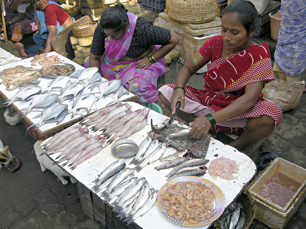 India. Fishmongers in mumbai.