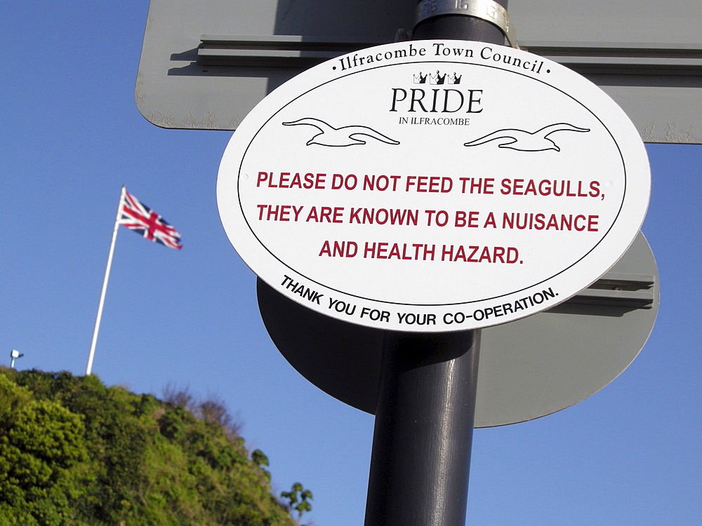 Uk signs in the harbour at ilfracombe, devon