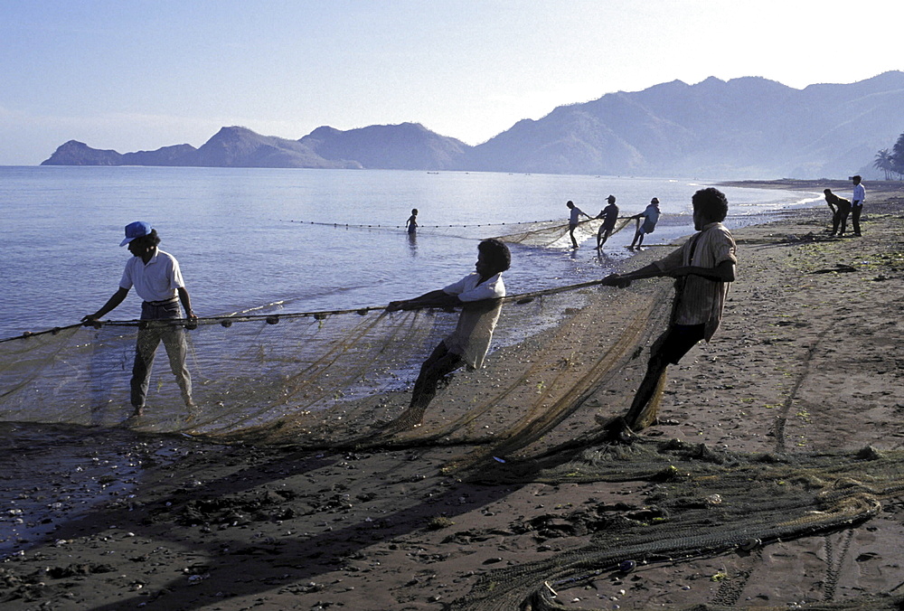 Fishermen, east timor. Areia branca beach, near dili. Fisherman hauling in nets