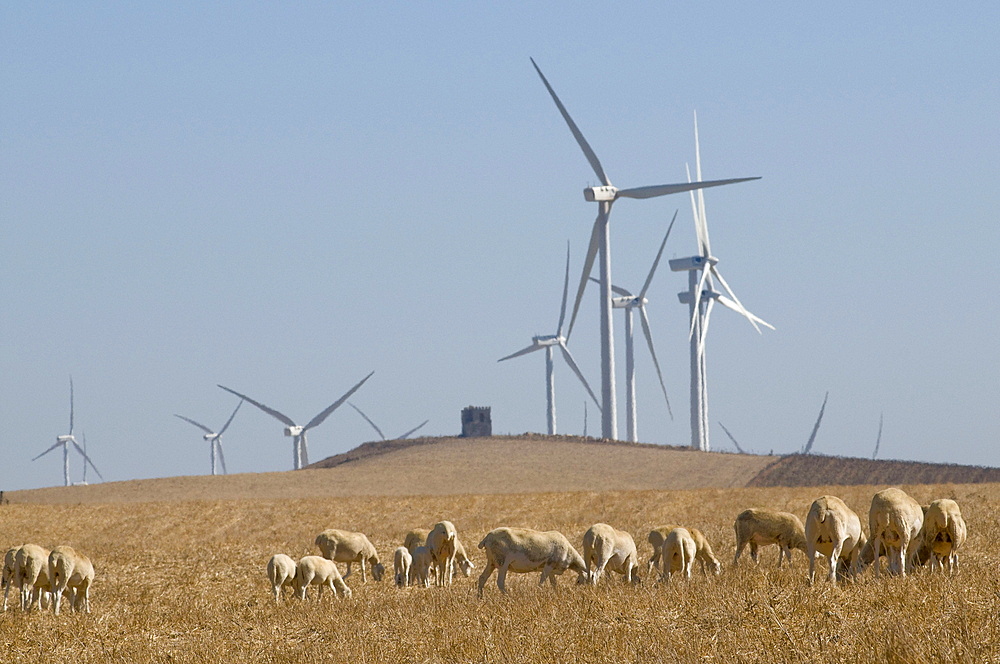 Spain. Wind turbines in rural areas in andalucia