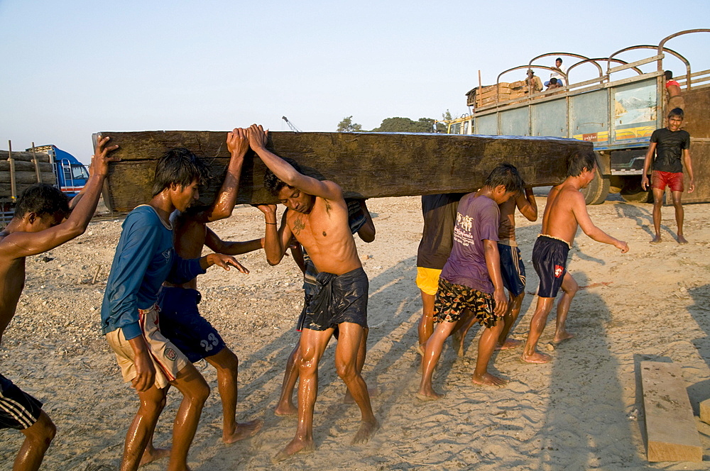 Myanmar (burma) unloading teak and other hardwoods at mandalay harbour on the irrawady river near sagaing