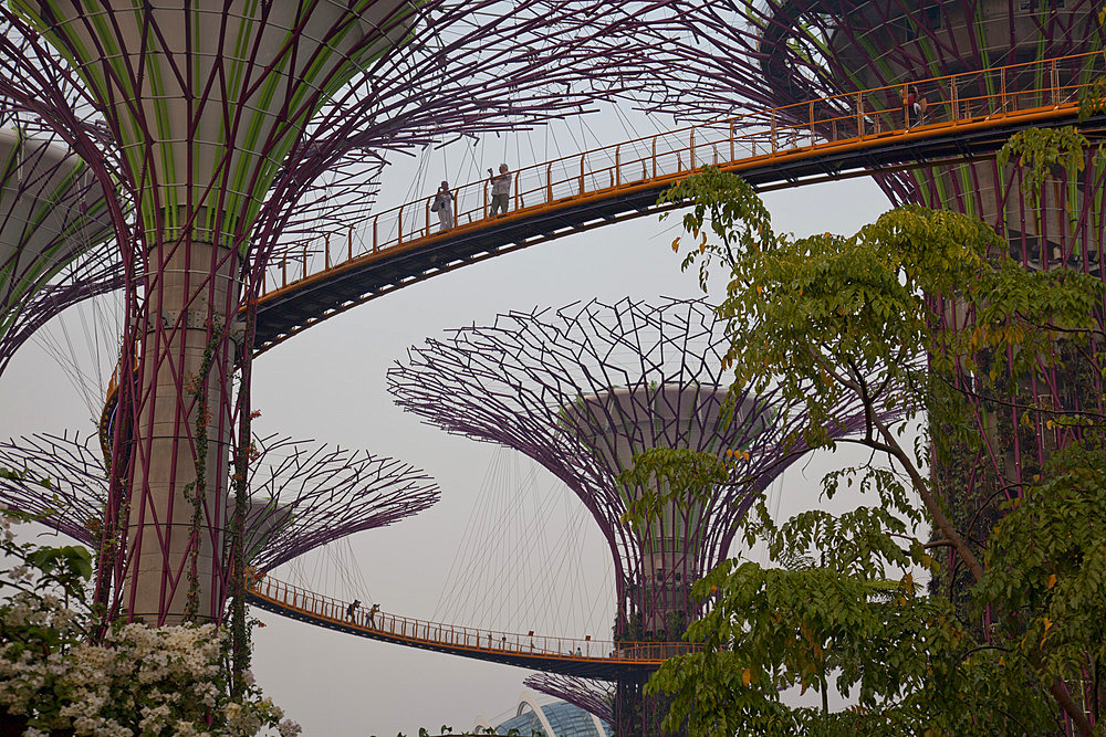 Tourists visit the Sky Walk at Gardens by the Bay in Singapore, Southeast Asia, Asia