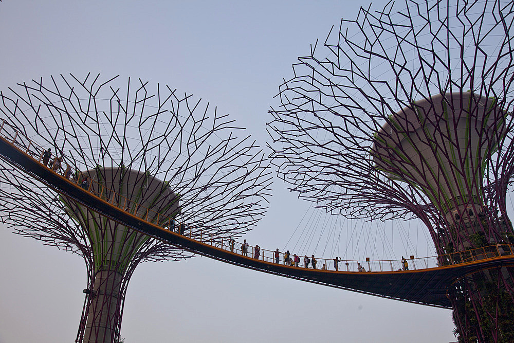 Tourists visit the Sky Walk at Gardens by the Bay in Singapore, Southeast Asia, Asia