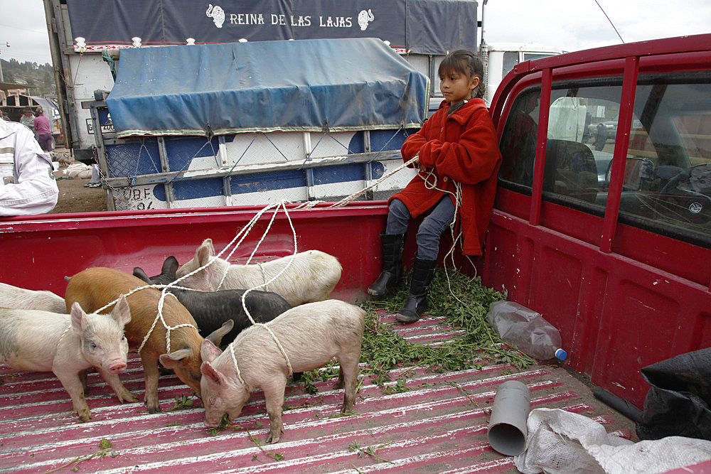 Market day in the town of Riobamba in the highlands of Ecuador, South America