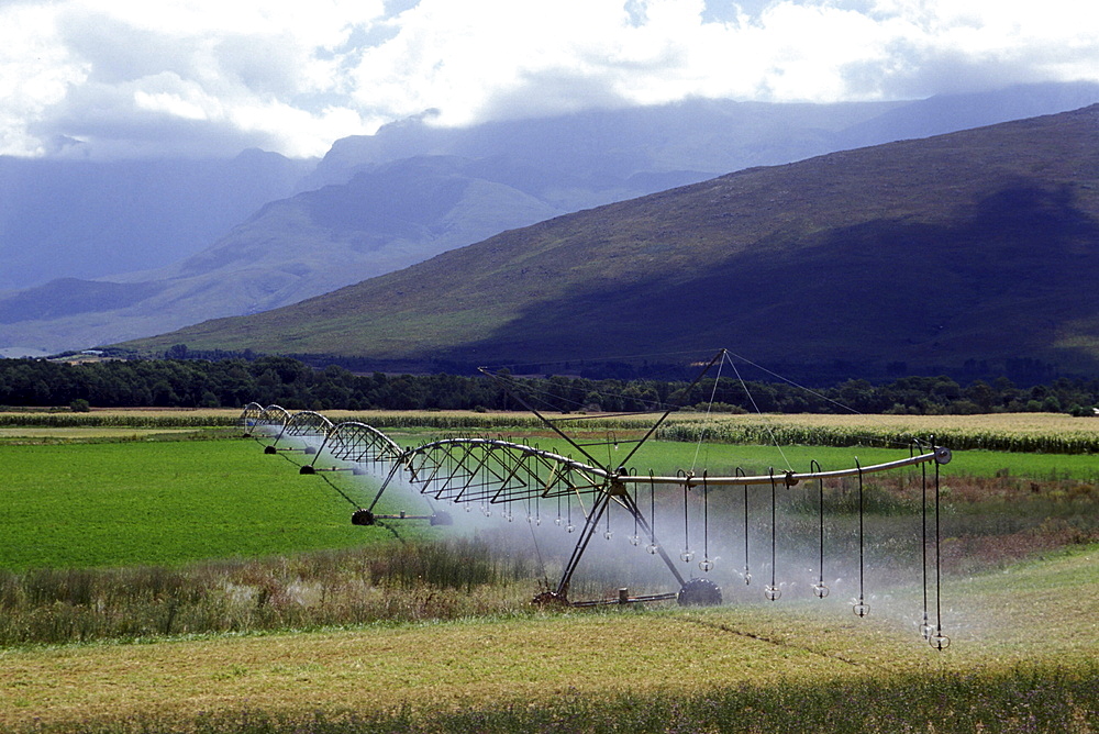 Irrigation, south africa. Eastern cape. Agriculture