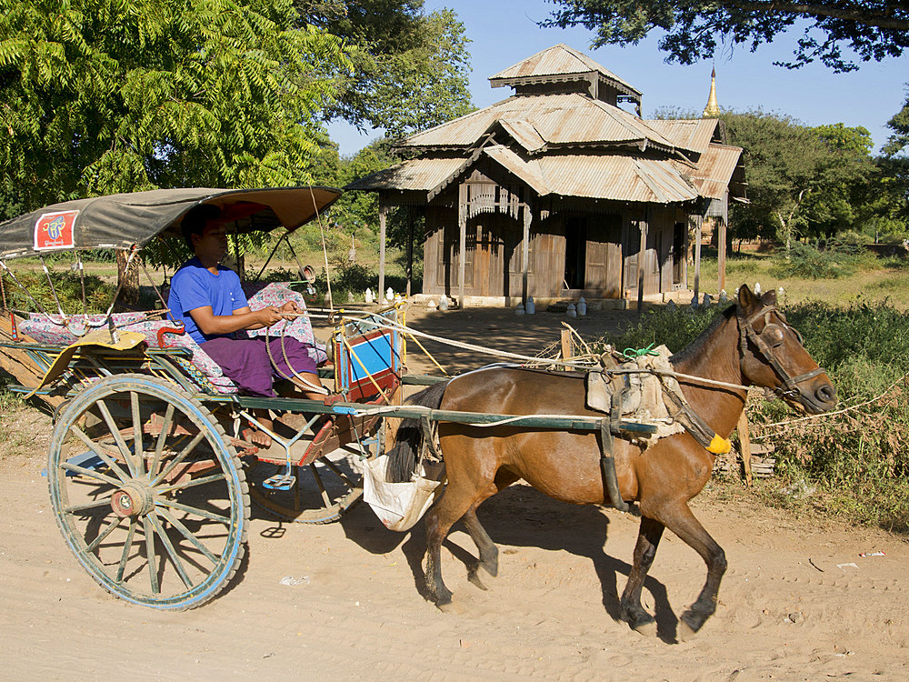 Horse and cart by Buddhist temples of Bagan, Myanmar (Burma), Asia