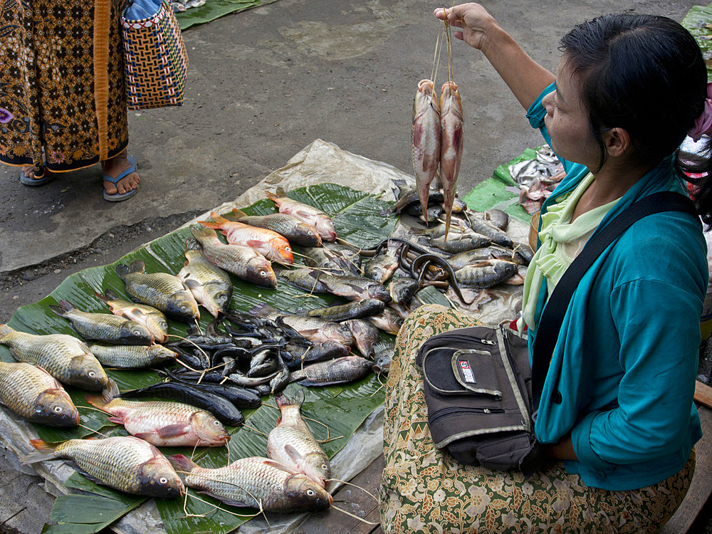 Fishmonger at market place, Inle Lake, Shan State, Myanmar (Burma), Asia