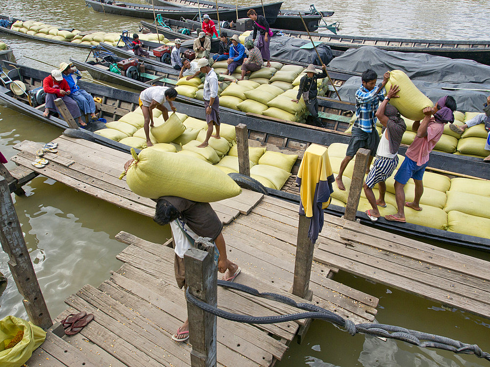 Porters carrying sacks of rice, Inle Lake, Shan State, Myanmar (Burma), Asia