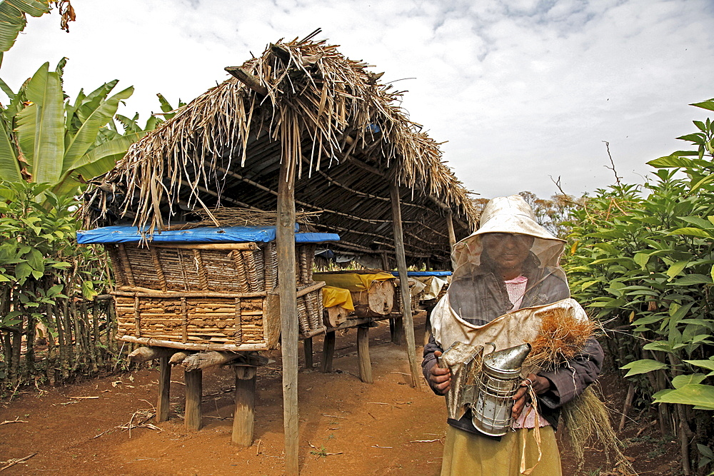 Farmer working in a honey producing co-operative in the Masha area of Ethiopia, Africa