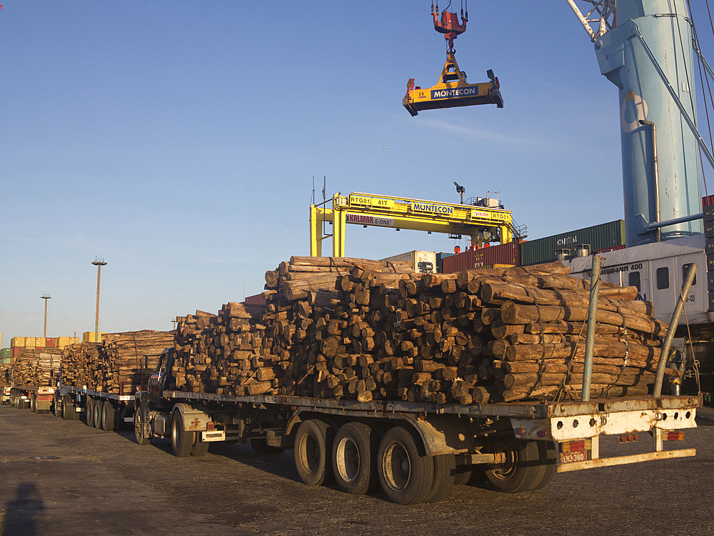 Timber loaded for export at the harbour in Montevideo, Uruguay, South America