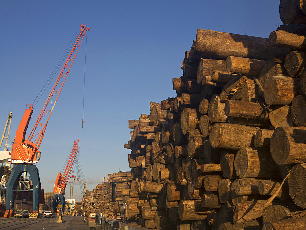 Timber loaded for export at the harbour in Montevideo, Uruguay, South America