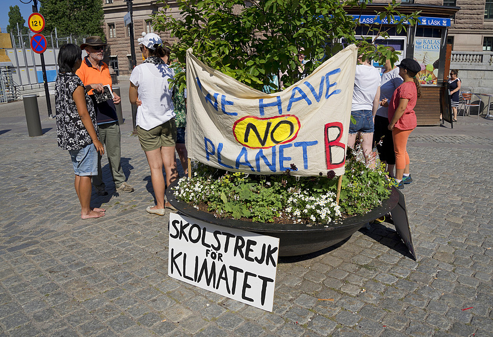 Swedish environmental activists protesting outside the Swedish Parliament about the need for immediate action to combat climate change, Stockholm, Sweden, Scandinavia, Europe