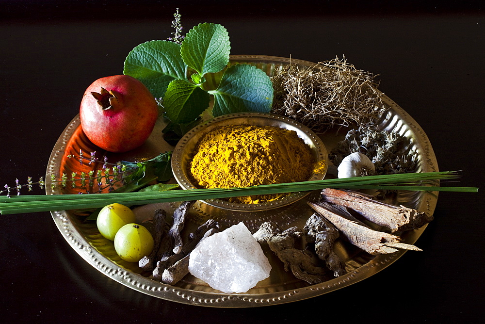 Different Indian spices on display at Swaswara, Karnataka, India, Asia