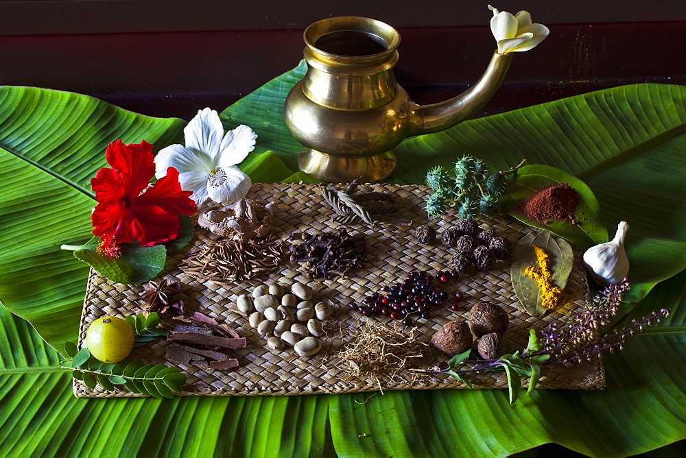 Different Indian spices on display at Swaswara, Karnataka, India, Asia