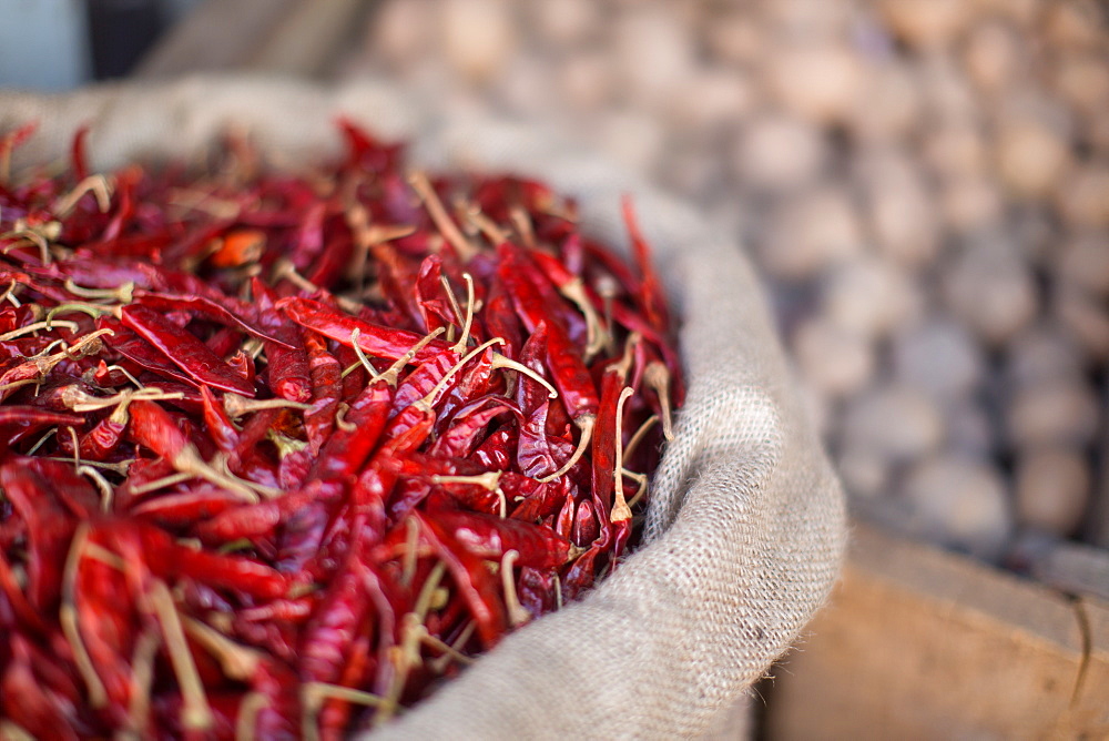 Dried chillies, Dambulla, Sri Lanka, Asia