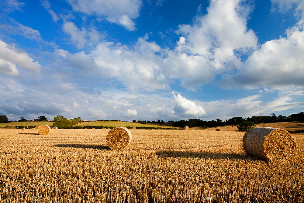 Baled field, Gloucestershire, England, United Kingdom, Europe