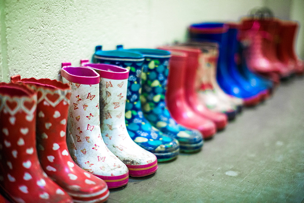 Kids wellies, United Kingdom, Europe