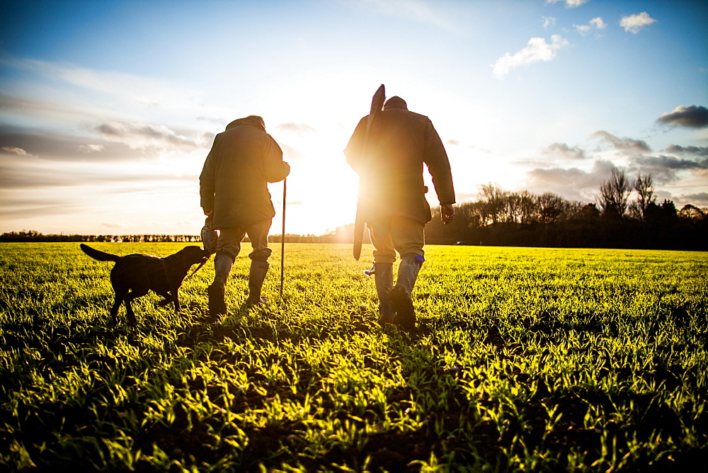 Game-shooting, United Kingdom, Europe