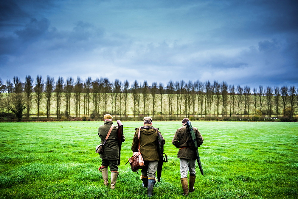 Three guns walking towards a drive, Wiltshire, England, United Kingdom, Europe