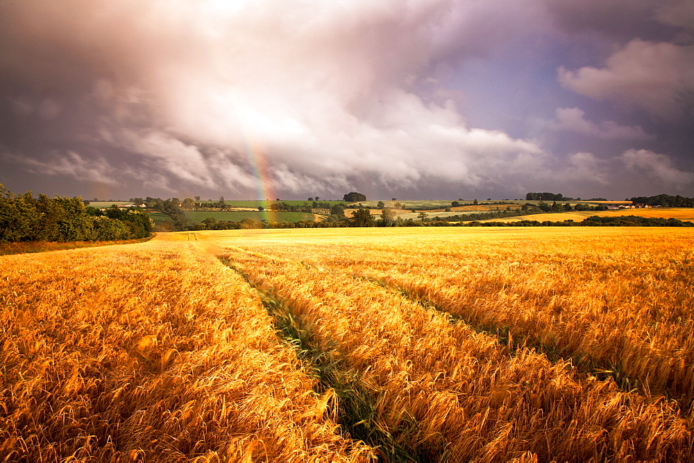 Upper Heyford, Oxfordshire, Oxford, England, United Kingdom, Europe