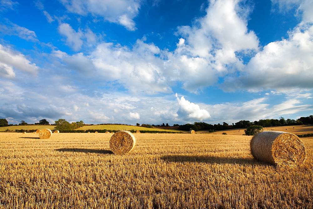 Near Broadway, Worcestershire, England, United Kingdom, Europe