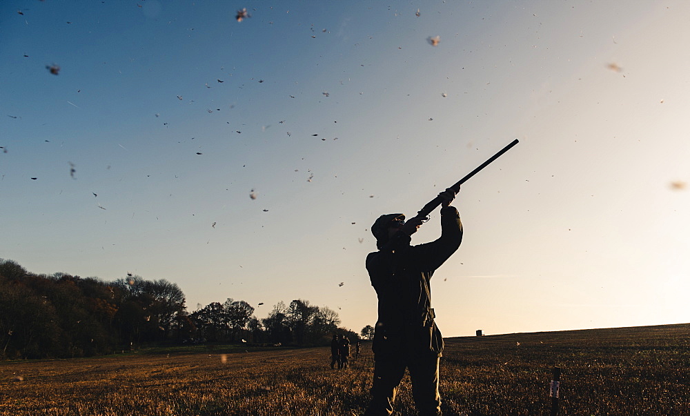 Gun standing in a field with bird feathers falling around him, United Kingdom, Europe