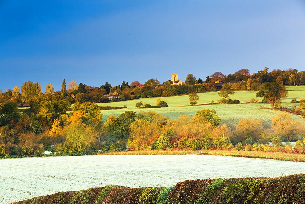 Cuddesdon, Oxfordshire, England, United Kingdom, Europe