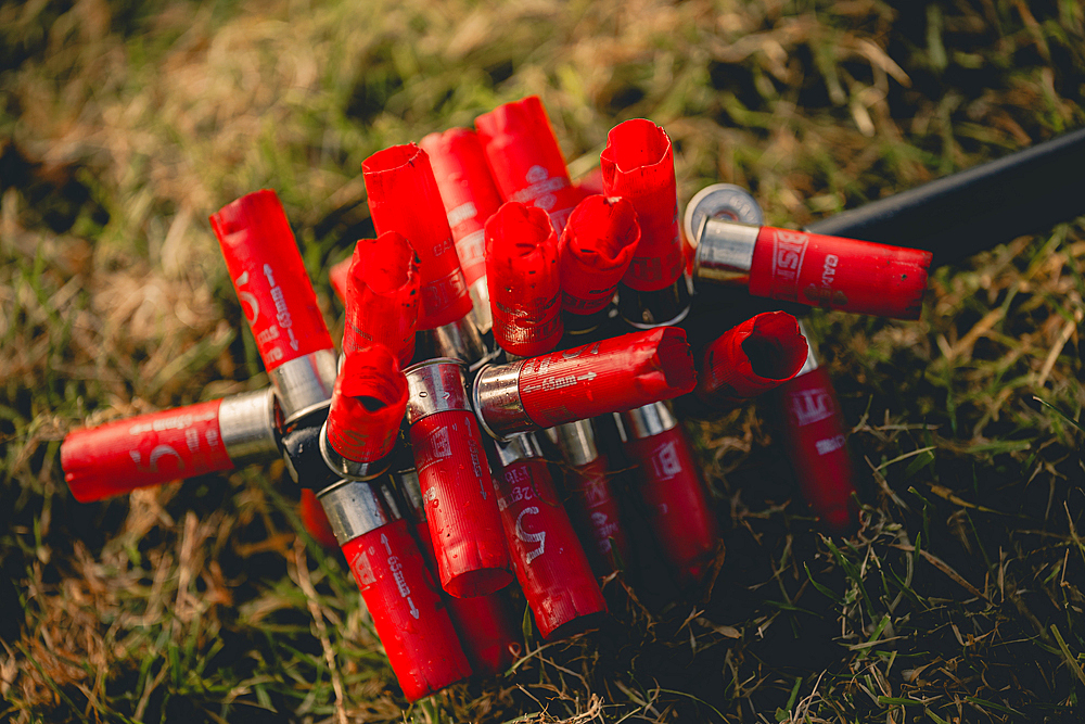 empty red shotgun cartridges on a magnetic stick on a pheasant shoot in UK