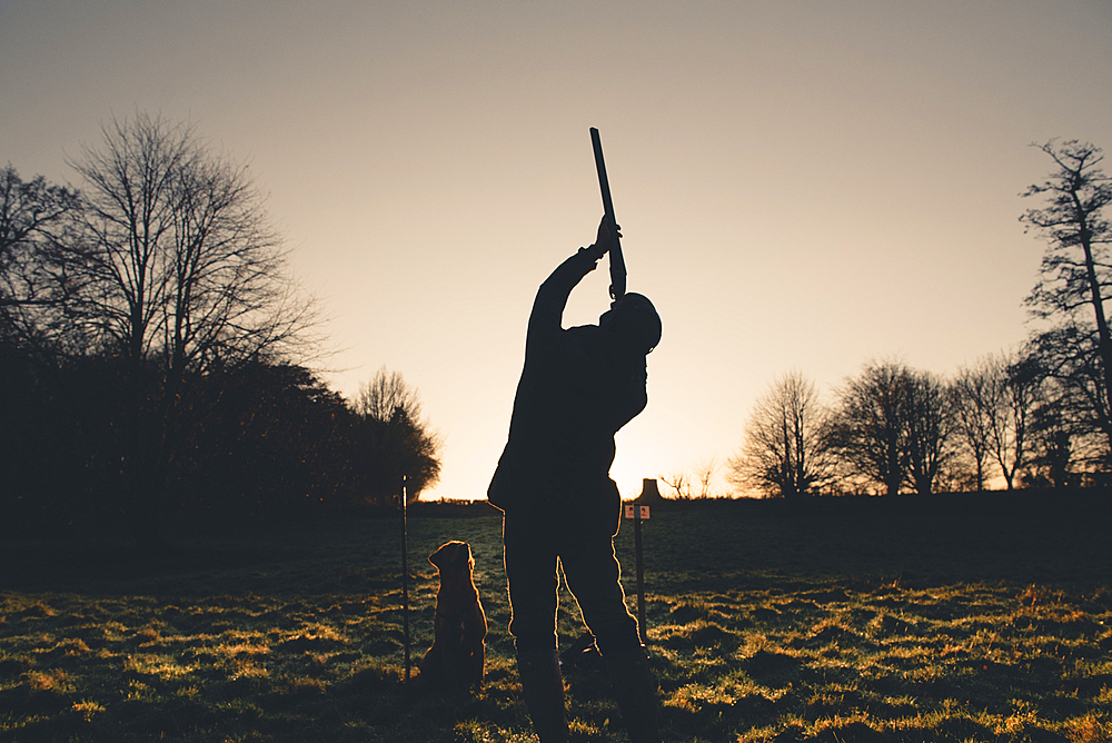 A silhouette of a gun shooting with a gun dog