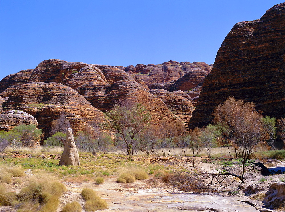 Termite mound, grasses and trees with typical rounded rocks in the background, Bungle Bungle, Purnululu National Park, UNESCO World Heritage Site, Kimberley, West Australia, Australia, Pacific