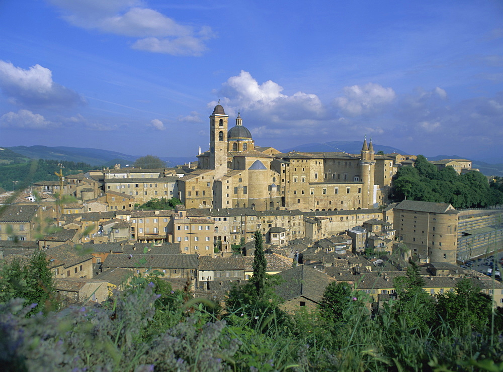 City seen from north with Cathedral (left) and Palazzo Ducale (right), Urbino, Marche, Italy, Europe