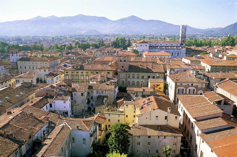 View south from Guinici Tower of city rooftops and cathedral, Lucca, Tuscany, Italy, Europe