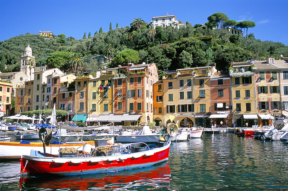 Harbour, Portofino, Liguria, Italy, Europe