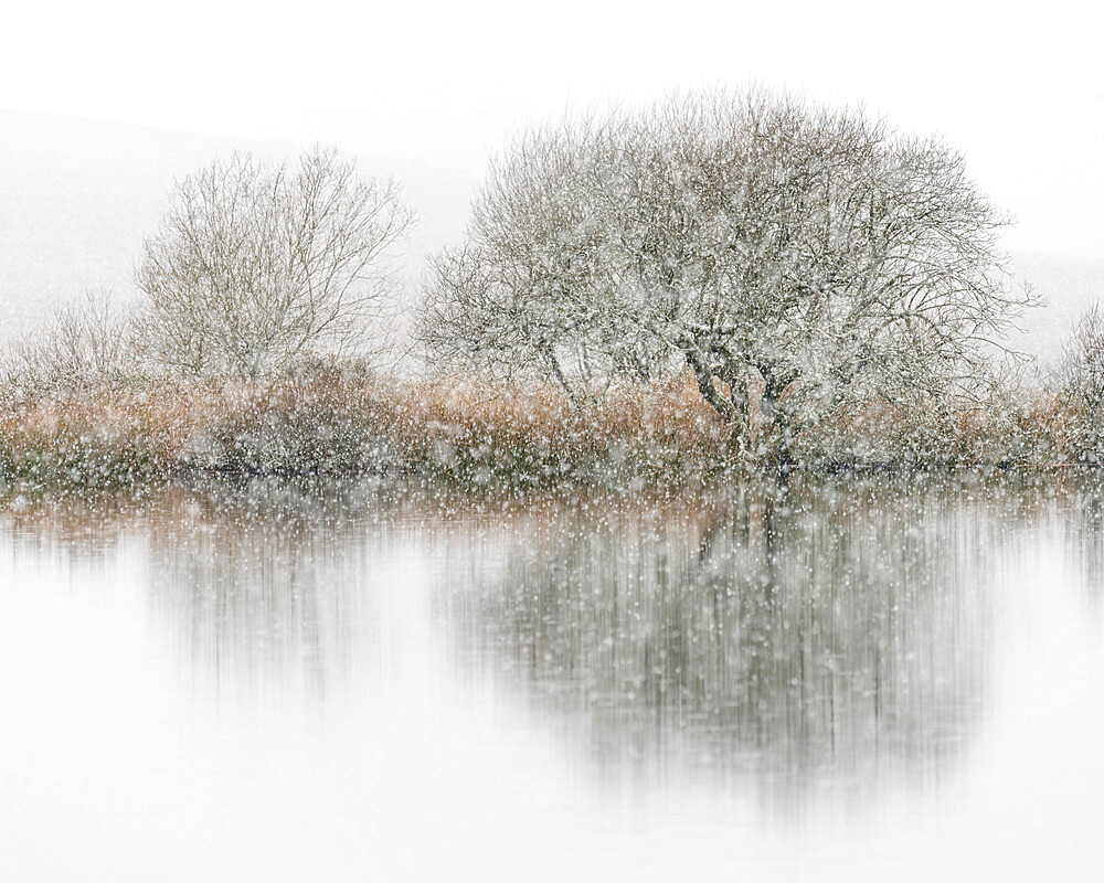 Snowfall, Broad Pool, Gower, South Wales, United Kingdom, Europe