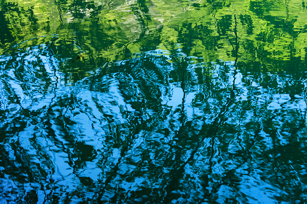 Lake reflections, Plitvice National Park, UNESCO World Heritage Site, Croatia, Europe