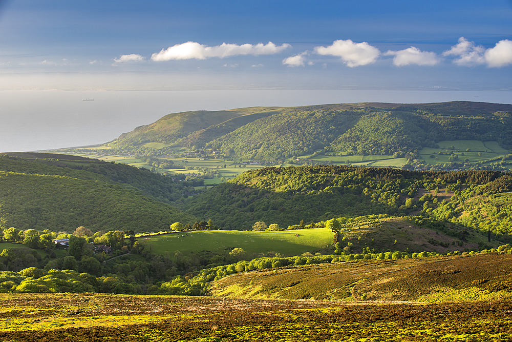 View from Dunkery Hill in spring, Exmoor National Park, Somerset, England, United Kingdom, Europe