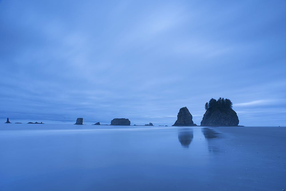 First Beach at dawn, Olympic National Park, UNESCO World Heritage Site, Washington State, United States of America, North America