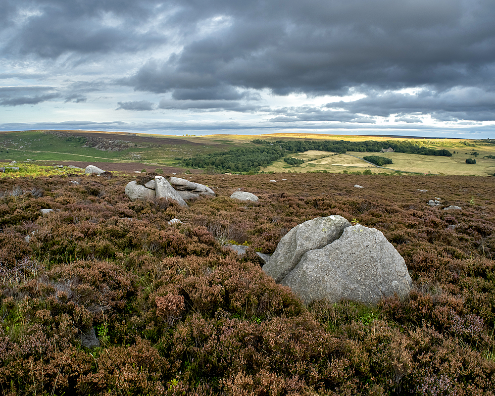 Rock and heather moorland, Surprise View, Peak District National Park, Derbyshire, England, United Kingdom, Europe