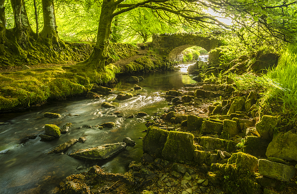 Stream and Robber's Bridge, Exmoor, Somerset, England, United Kingdom, Europe