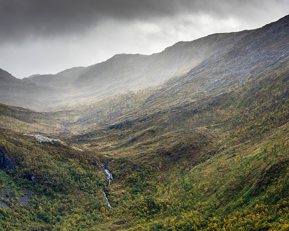 Forest, mountains and waterfall, Torsken, Senja, Norway, Scandinavia, Europe