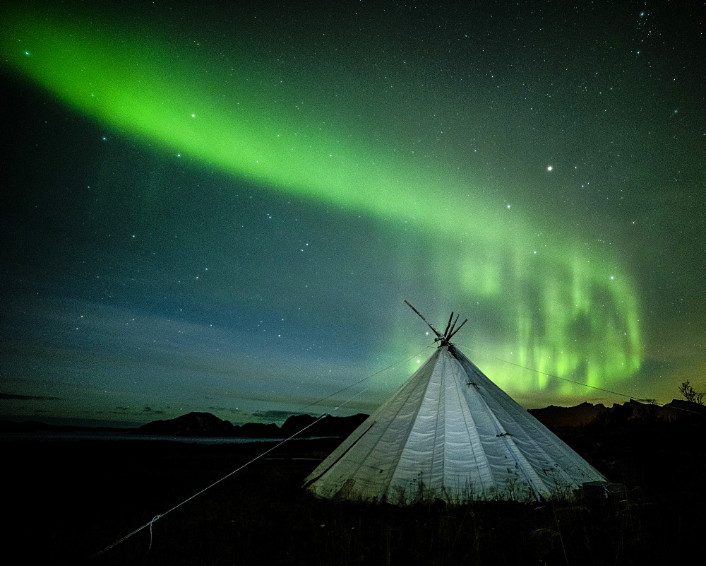 Aurora borealis (Northern Lights) over a traditional Lavvu, Senja, Norway, Scandinavia, Europe