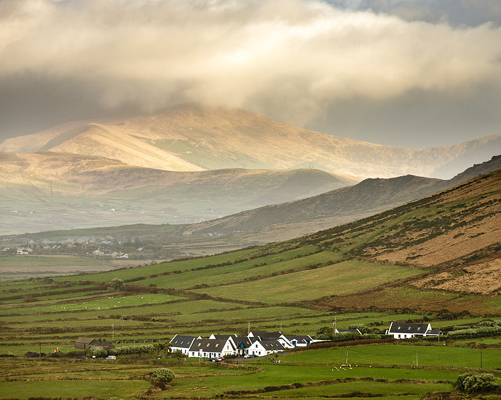 Traditional houses, fields and mountains, looking north from Waymont, Dingle Peninsula, County Kerry, Munster, Republic of Ireland, Europe