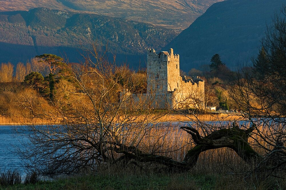 Ross Castle in the evening sunlight, Killarney, County Kerry, Munster, Republic of Ireland, Europe