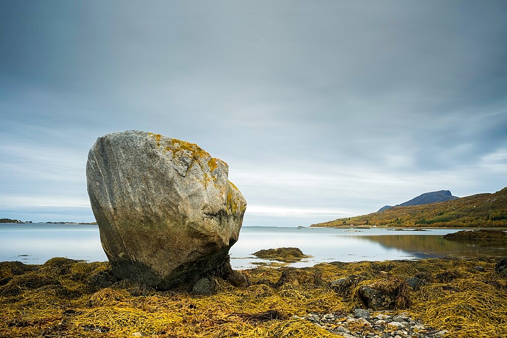 Large rock at low tide, west Senja, Norway, Scandinavia, Europe