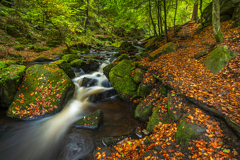 Waterfall and path, autumn colour, Wyming Brook, Peak District National Park, Derbyshire, England, United Kingdom, Europe